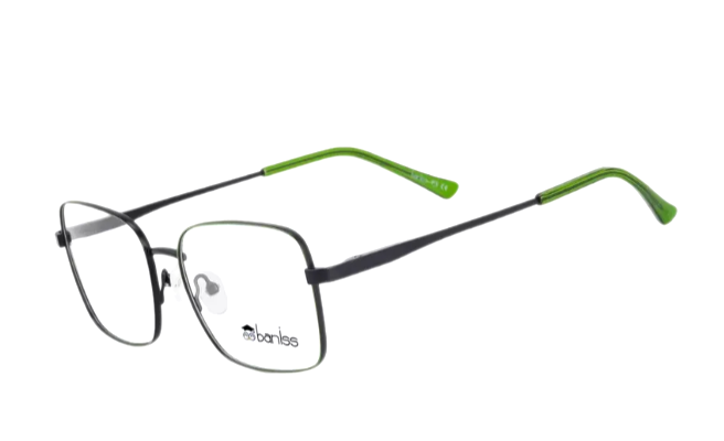 BANISS BR5079 C01-19575