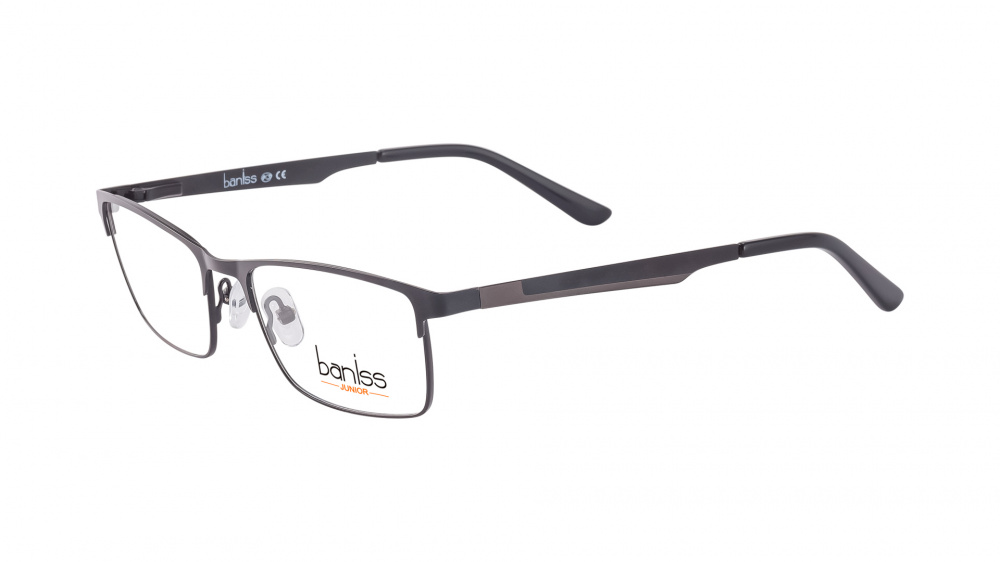 BANISS BRJ3093 C01-20881